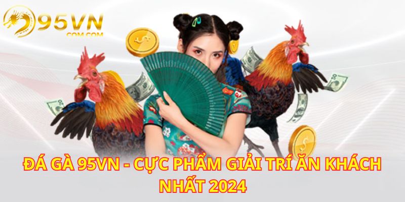 Đá gà 95VN đang là siêu phẩm hot hit nhất nhì tại Việt Nam