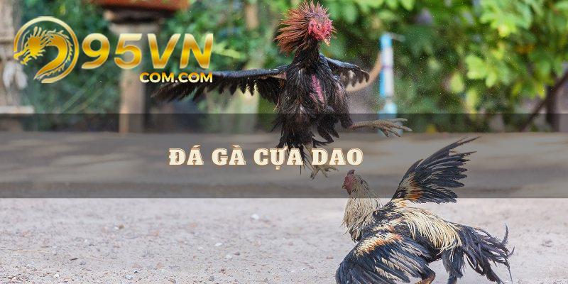 Bật mí một số thông tin chi tiết về loại hình đá gà được yêu thích nhất