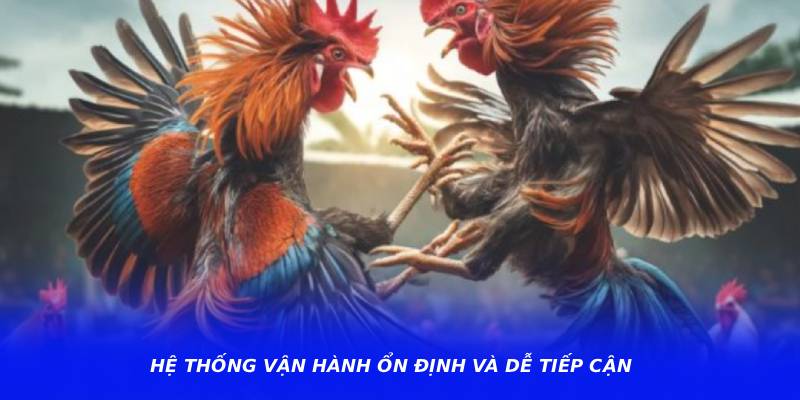 Hệ thống vận hành ổn định và dễ tiếp cận